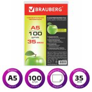 Мультифора А5 BRAUBERG гладкая, яблоко 223085 горизонтальная перфорация