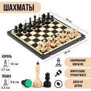 Шахматы 
