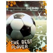 Дневник ЮНЛАНДИЯ 1-4 класс 48л.,твердый, глянц. ламин Футбол 106826