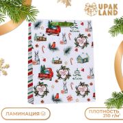 Пакет ламинированный вертикальный 