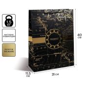 Пакет ламинированный вертикальный Gold present, L 31*40*11,5 см 4733868