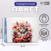 Пакет ламинированный горизонтальный 