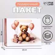 Пакет ламинированный горизонтальный 