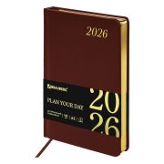 Ежедневник датированный BRAUBERG Iguana 117057 А5, коричневый, 2026г.