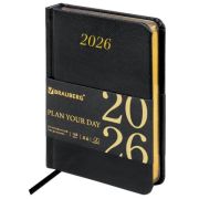 Ежедневник датированный BRAUBERG Iguana 117252 А6, черный, 2026г.