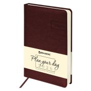 Ежедневник датированный BRAUBERG Iguana 117253 А6, коричневый, 2026г.