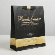 Пакет ламинированный Best of the best, ML 23 х 27 х 8 см 6582757