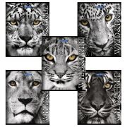 Тетрадь 48лист. клетка BRAUBERG 401810 